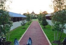 Young Horse Goals green horse goals