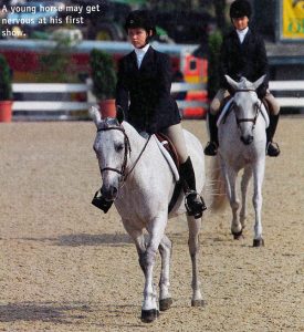 Horse Training: Greenie’s First Show
