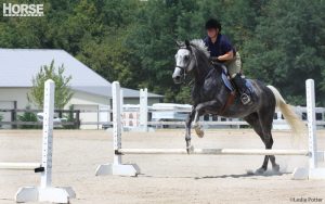 Improve Your Horse’s Jump with Grid Exercises