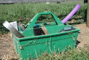 How to Clean Your Horse’s Brushes and Other Grooming Tools