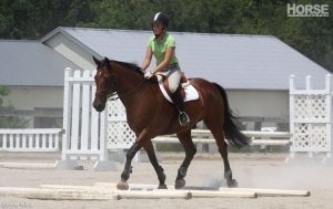 Using Ground Poles to Improve Joint Motion in Horses