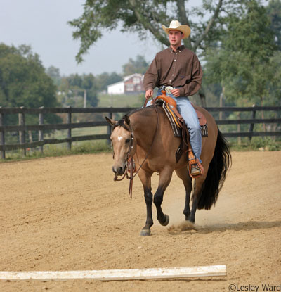 Arena Work for Trail Riders