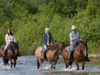 group trail riding through water