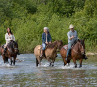 group trail riding through water