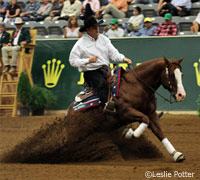 gunners special nite