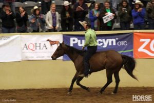 Road to the Horse is Under Way in Lexington, Kentucky