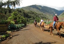 An Equestrian Vacation in Hawaii hawaii equestrian vacation
