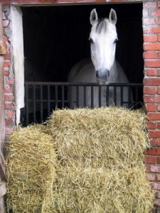 How to Stack Hay