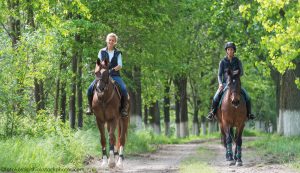 New Study Compares Traumatic Brain Injury Among Sports; Results Aren’t Good for Riding