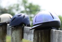 International Helmet Awareness Day 2013 announced for June 22 helmets horse pasture