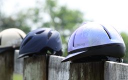 helmets horse pasture