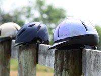 helmets horse