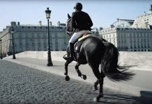Featured Video: A Horse in the City hermes horse in the city