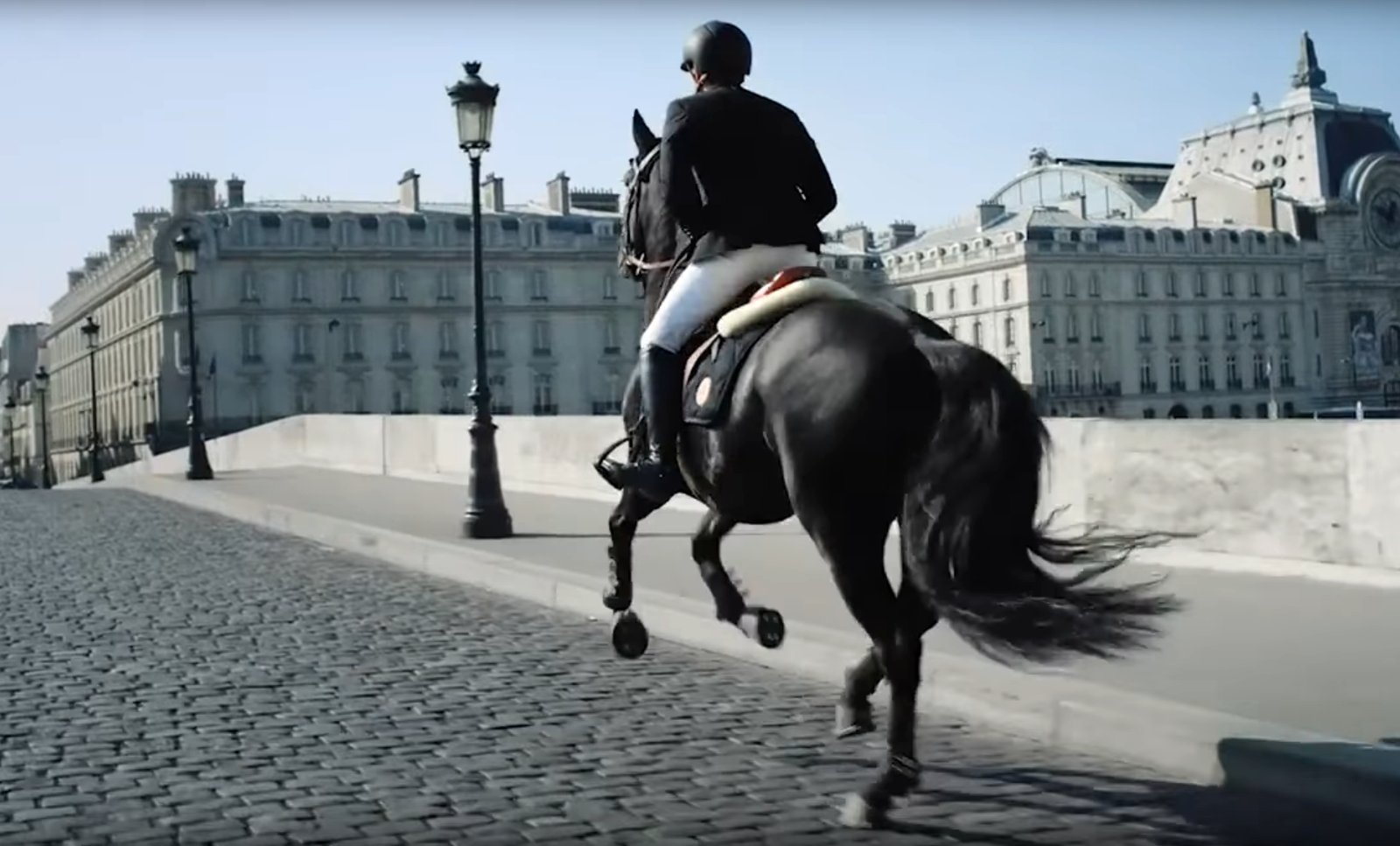 Featured Video: A Horse in the City