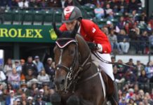 Top equestrians compete in Canada at the Spruce Meadows Summer Tournaments hickstead weg