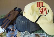 HI Spy: Share Your Favorite Horsey Item for Under $20 hispy costs