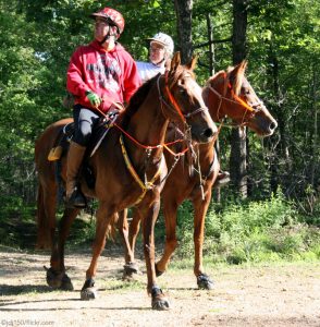 How to Fit Hoof Boots