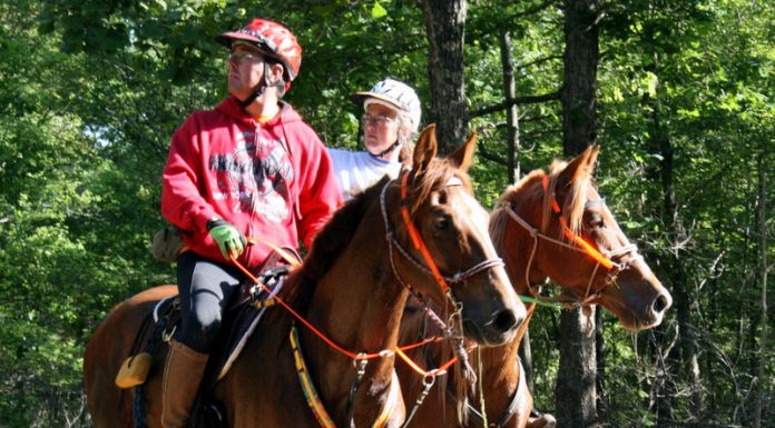 hoof boots endurance