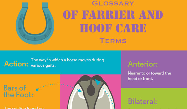 hoof glossary