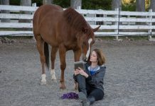 horse e reader