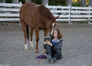 Equestrian Fiction: Not Just for Young Adults