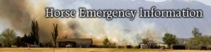 Horse Emergency Information