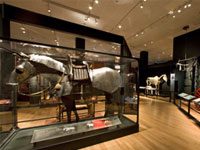 horse exhibit carnegie muse