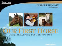 Considering a Horse? Consider this DVD horse extension