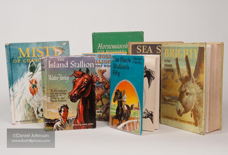 Finding Inspiration from Classic Horse Books