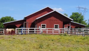 Getting the Barn in Shape for Spring