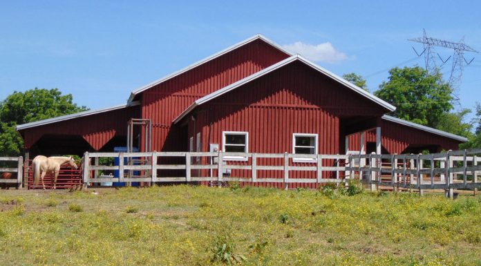 horse livery foster falls