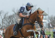 Theodore O’Connor named 2007 Farnam/Platform USEF Horse of the Year horse of year