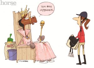 The Five Equine Personalities