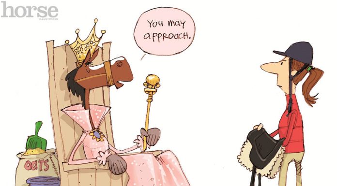 horse personality princess