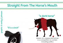 horse phrases infographic