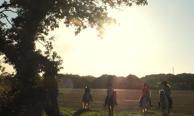 horse riding lessons