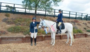 Secrets of Successful Horse Sharing