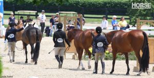 Insider Tips from the Horse Show Judge