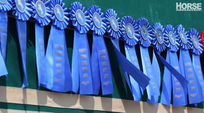 horse show ribbons