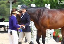 horse show volunteer