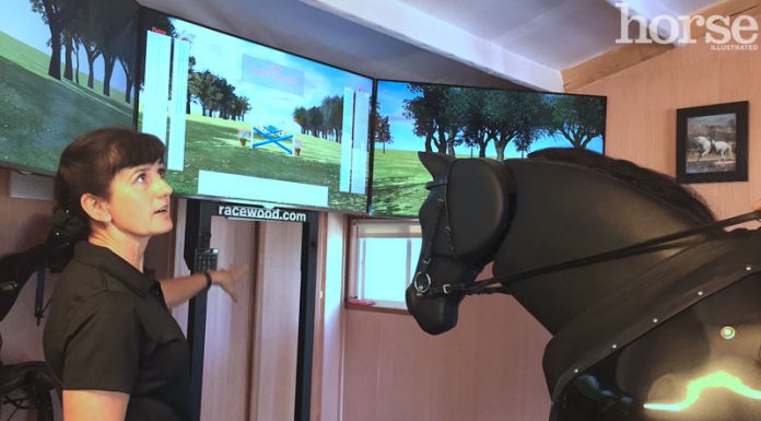 horse simulator