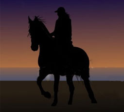 horse sunset