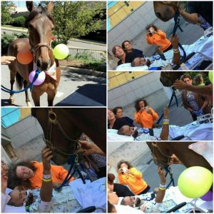 A Bittersweet Goodbye as a Rider Gets a Hospital Visit from His Horse