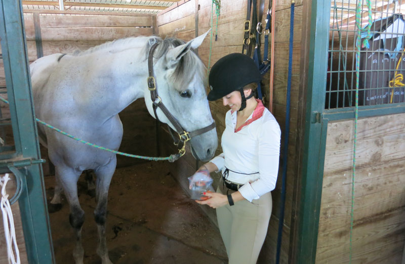 How I Measure My Life in Horse Costs