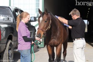 Ten Steps to a Healthier Horse