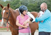 horses and babies