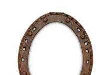 How Did Horseshoes Get so Lucky? horseshoe