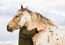 Your Horse Life: Forever Young hug a horse