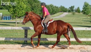 Counter Bending to Canter