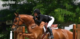 hunt seat equitation